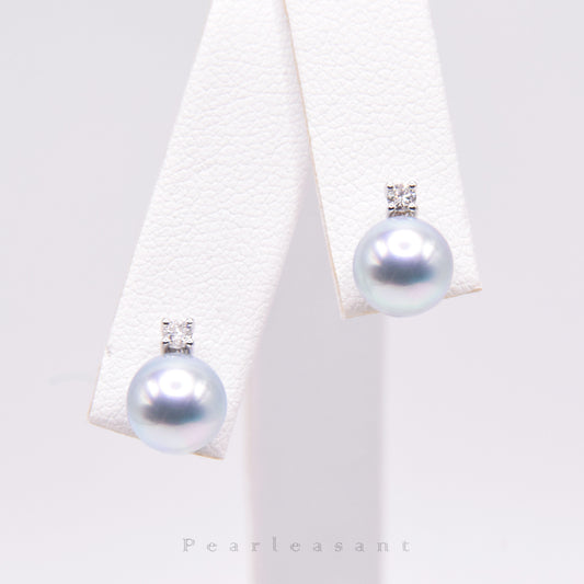 Madama Color 5-star Grade 7.5-8.0mm Blue Akoya Pearl Mini Princess Earrings with Certificate