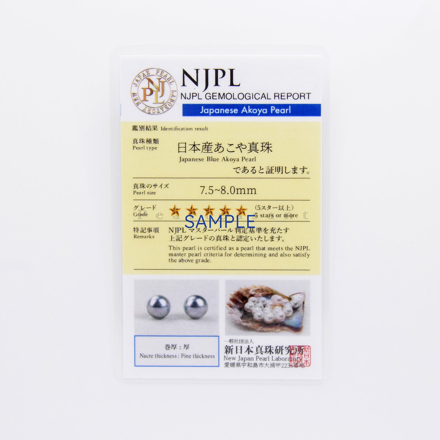 Madama Color 5-star Grade 7.5-8.0mm Blue Akoya Pearl Mini Princess Earrings with Certificate