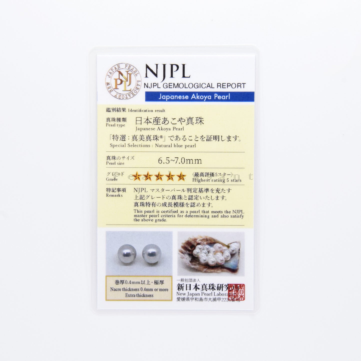 5-star Grade Madama Color 6.5-7.0mm Light Silver Blue Akoya Pearl Earring Studs with Certificate