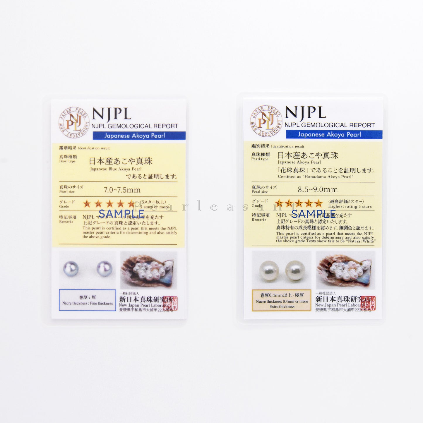 Madama Blue and Hanadama White Bicolor Akoya Pearl Double-ended Earring Studs with Certificate