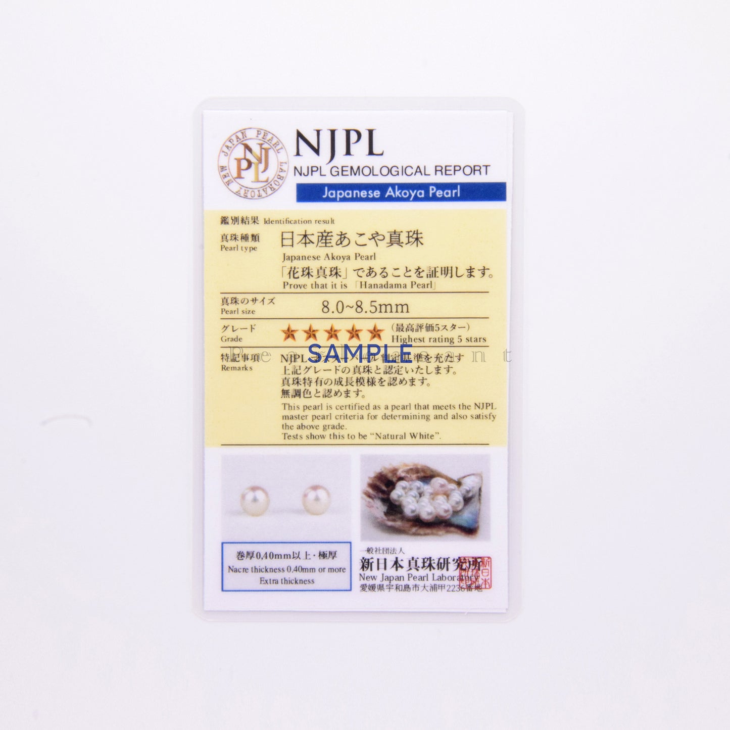 Sale Final - Hanadama Grade 8.0-8.5mm Natural White Akoya Pearl Mini Princess Earrings with Certificate