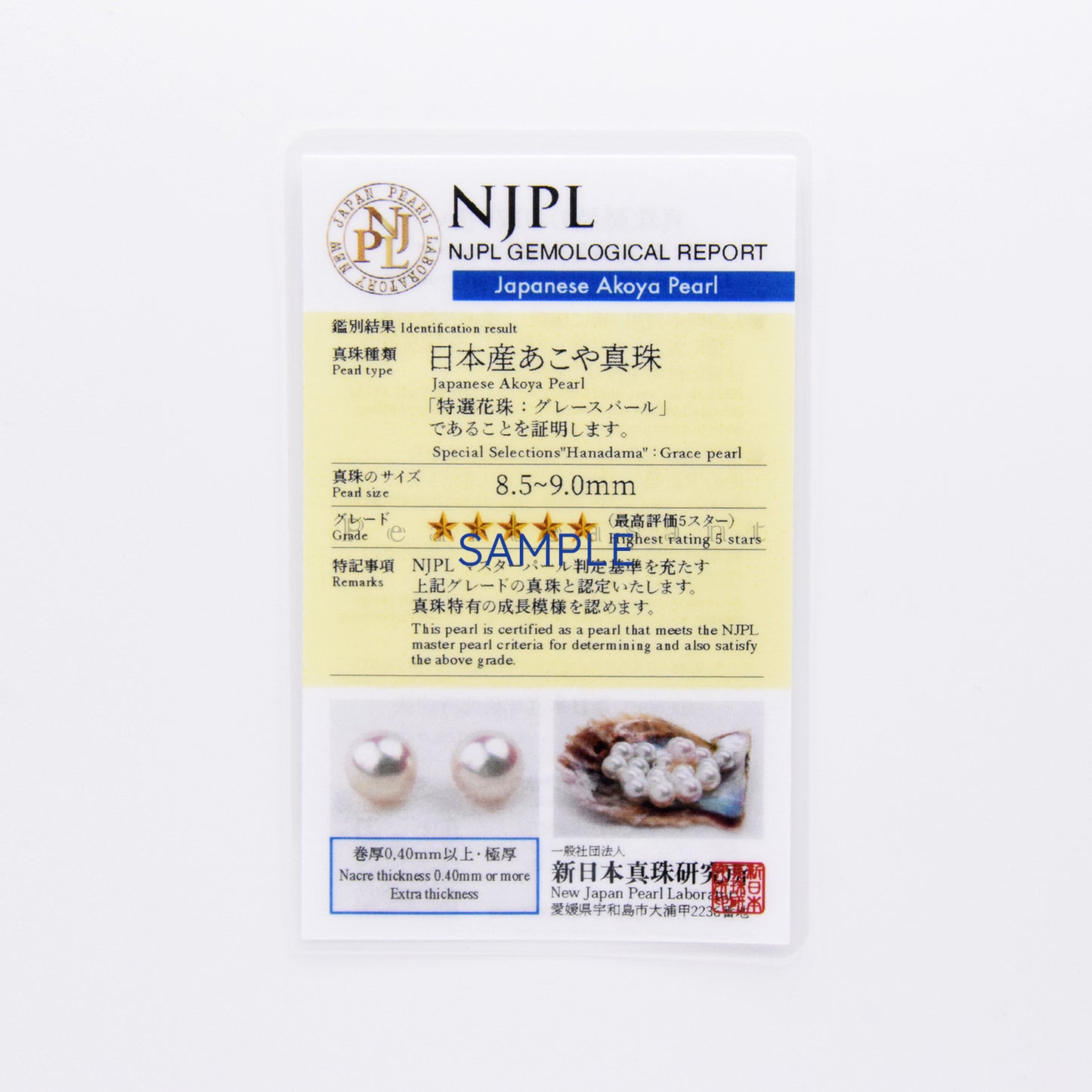 Hanadama Grade 8.0-9.0mm White Akoya Pearl Bubble Earrings with Certificate