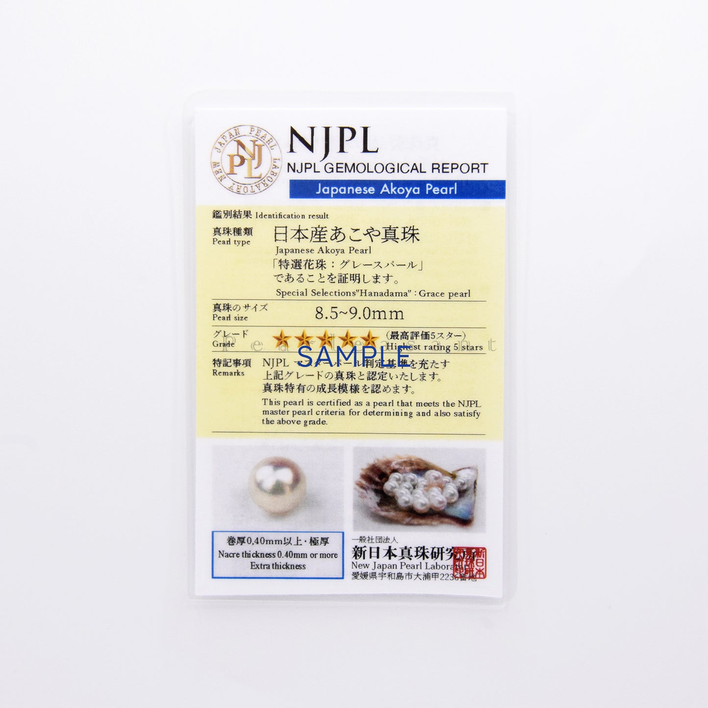 Hanadama Grade 8.5-9.0mm White Akoya Pearl Diamond Clasp Pendant Only with Certificate