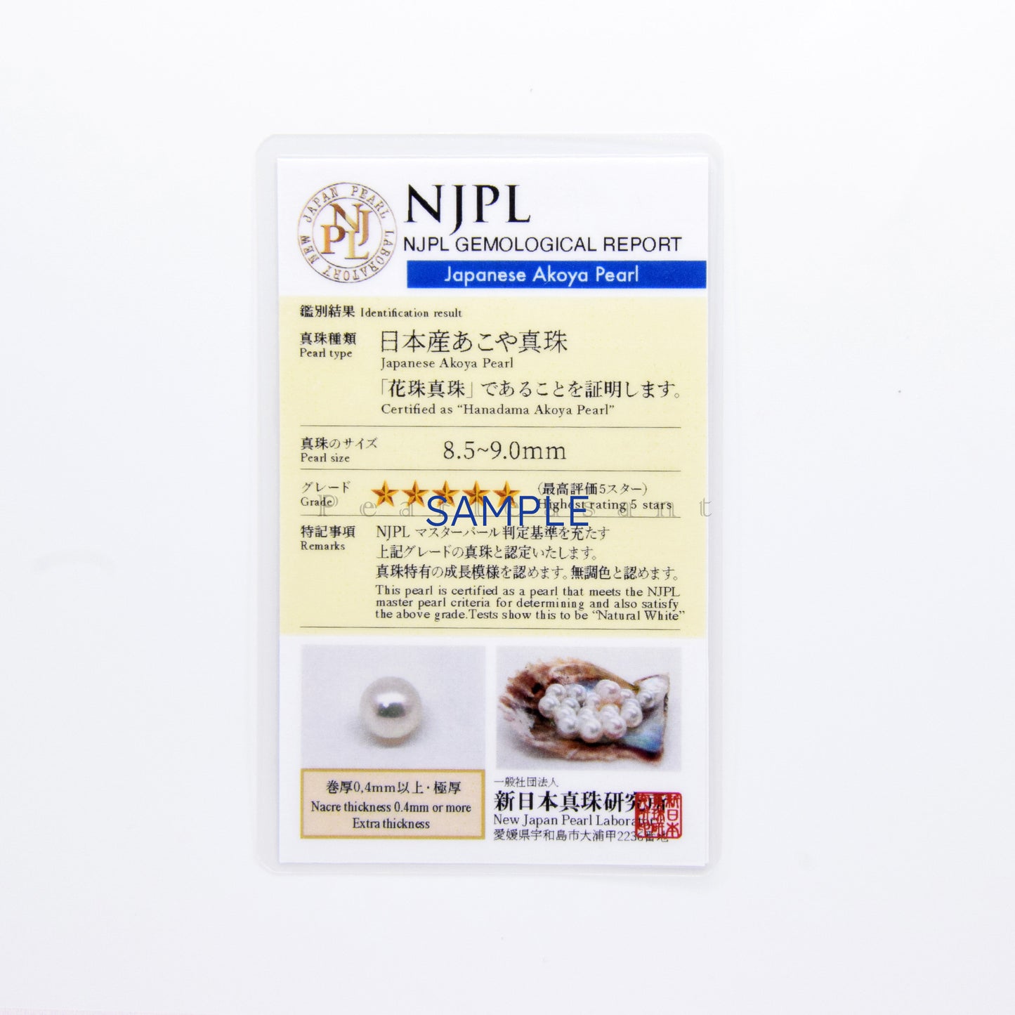 Hanadama Grade 8.5-9.0mm Natural White Akoya Pearl Adjustable Cross Chain Bracelet