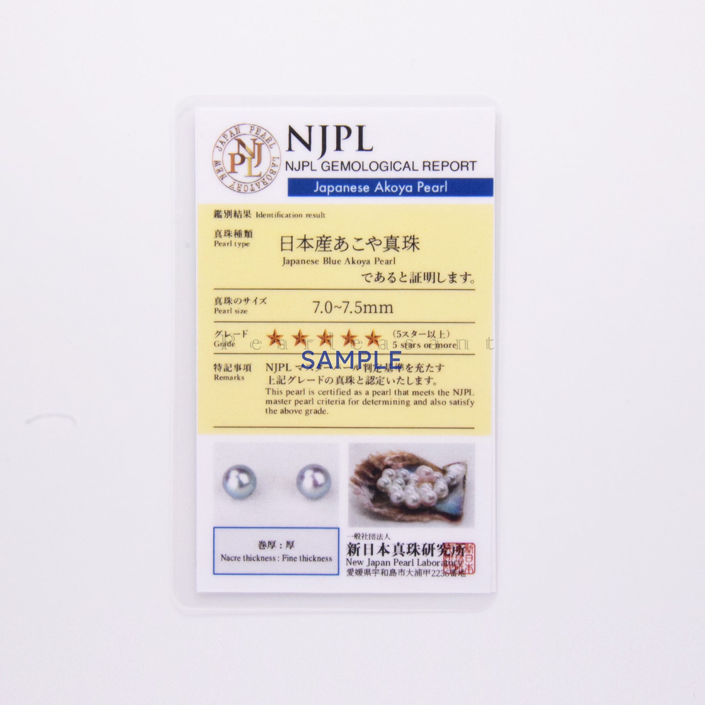 5-star Grade Madama Color 7.0-8.0mm Blue Akoya Pearl Earring Studs with Certificate