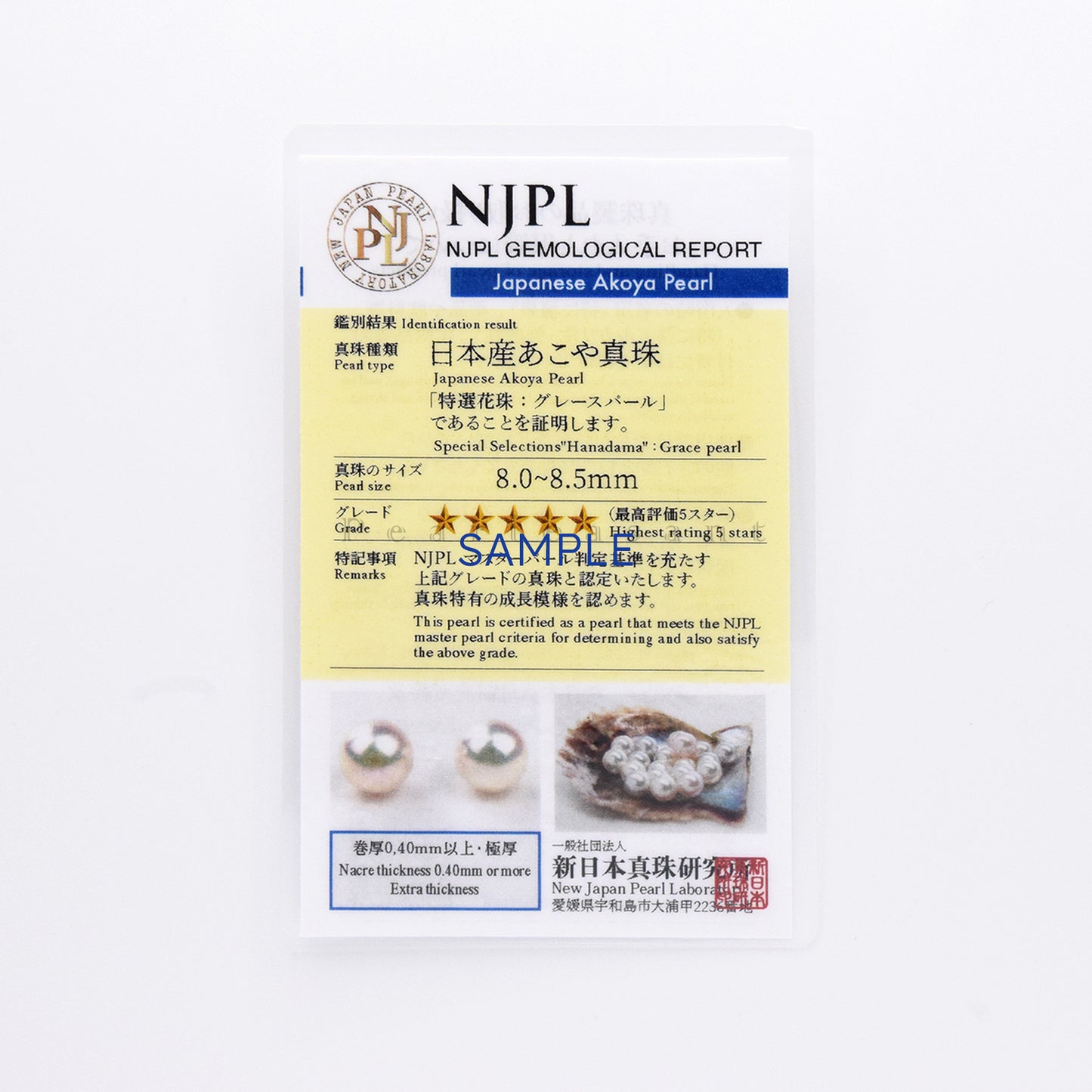 Hanadama Grade 8.0-8.5mm White Akoya Pearl Starlight Earrings with Certificate