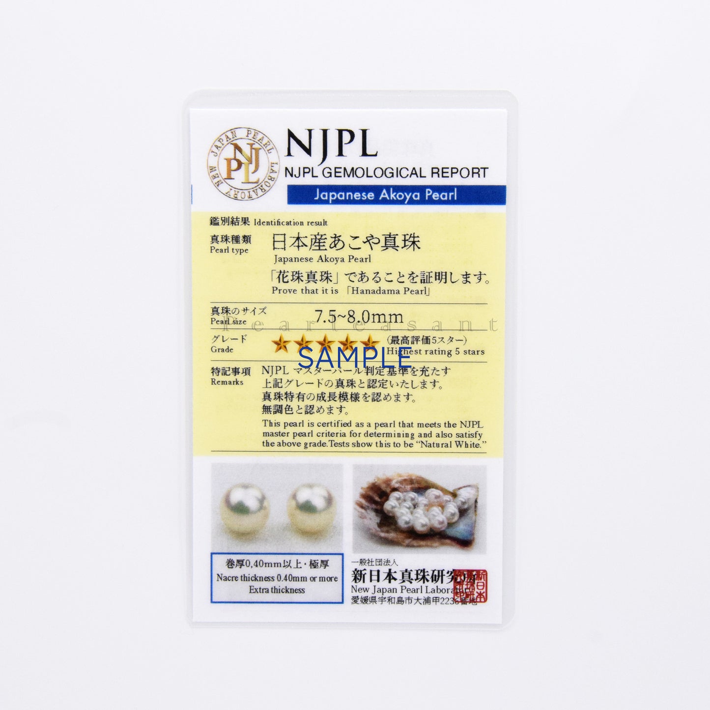 Hanadama Grade 7.5-8.0mm Natural White Akoya Pearl Mini Princess Earrings with Certificate