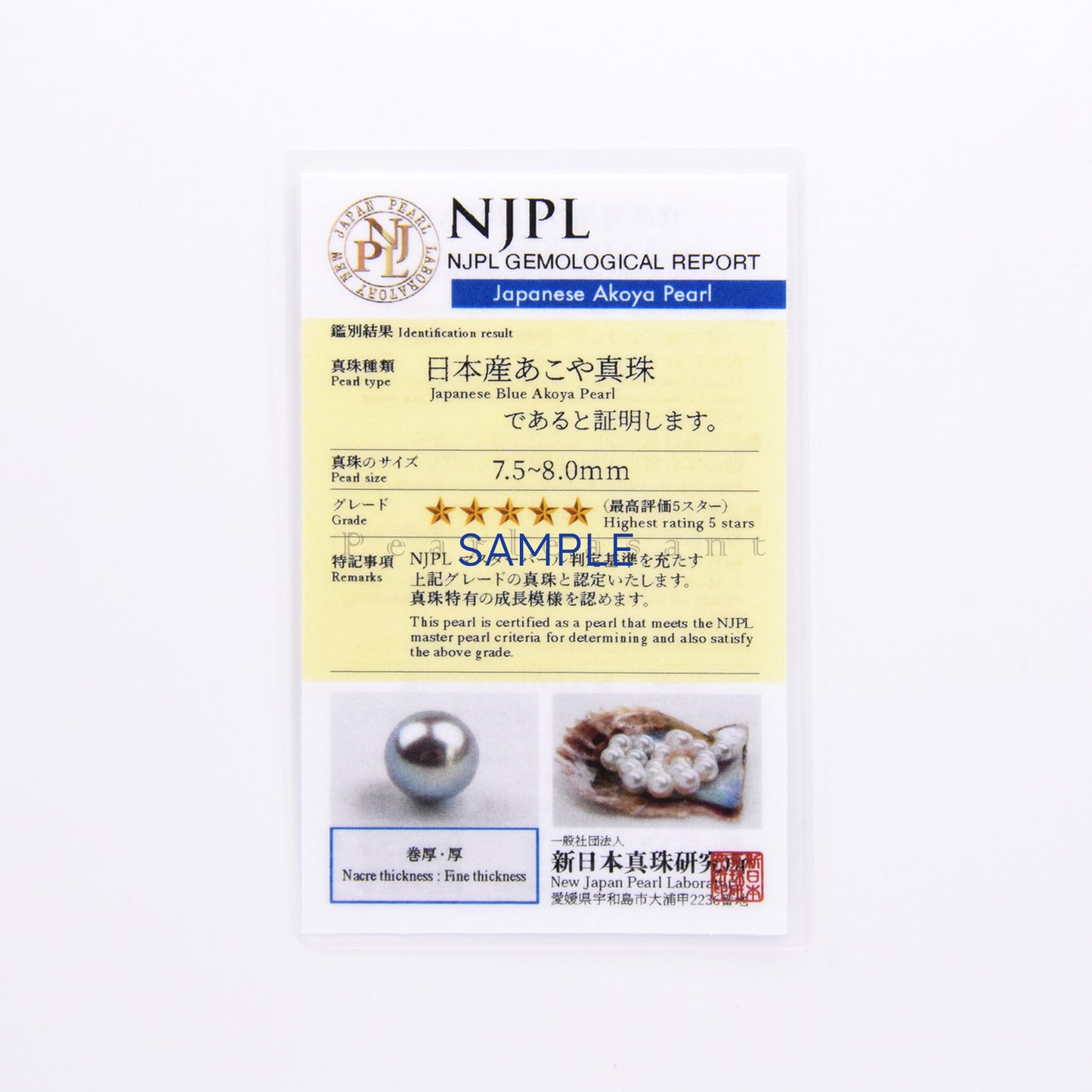 Sale Final - Blue Rose Color 5-star Grade 7.5-8.0mm Akoya Pearl Essential Slim Ring with Certificate