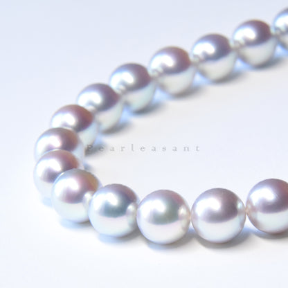 Super Rare Premium Collection - PSL Certified Madama 8.5-9.0mm Akoya Pearl Necklace