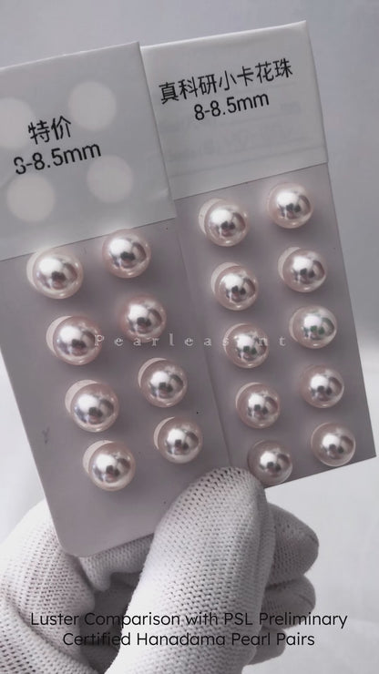 Sale Final - Lustrous 8.0-8.5mm White Akoya Pearl Earring Studs