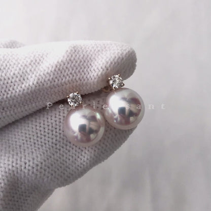 Hanadama Grade 8.0-9.0mm White Akoya Pearl Medium Princess Earrings with Certificate
