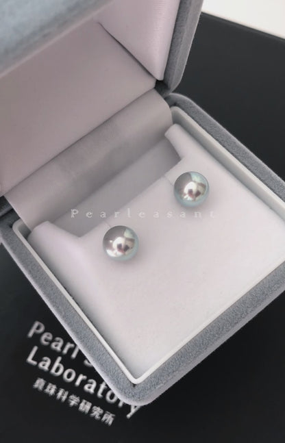 Madama PSL Certified 8.0-8.5mm Akoya Pearl Earring Studs
